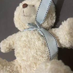 Nounours 🧸