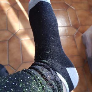 Chaussettes