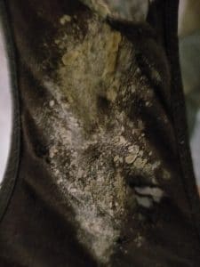 Grosse perte culotte portée jour et nuit pendant 3 jours