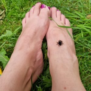 Pieds dans la nature