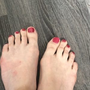 pied new