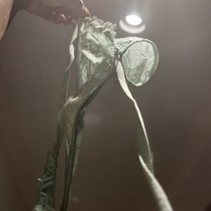 Jolie vert pour l’anis
