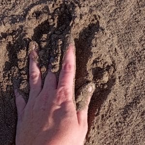 Vidéo de main sur la plage