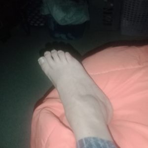 Pied