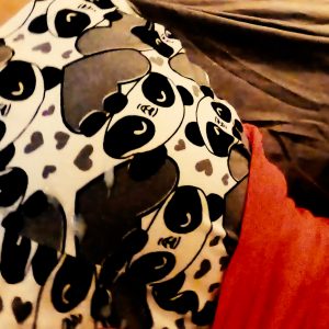 Il se vide sur mon petit panda