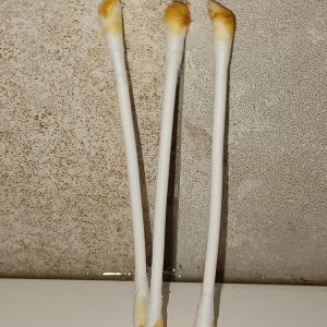 Cotons tiges souillés