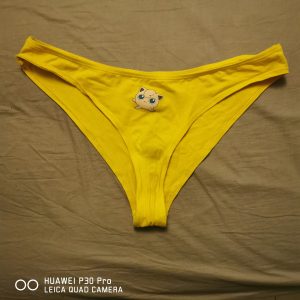 Culotte fantaisie pokémon roudoudou