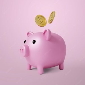 Je veux juste de l argent de poche