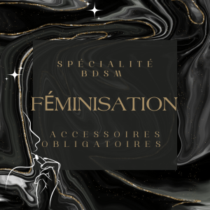 Féminisation