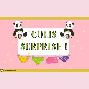 🎁 Colis ultra mignon surprise ! 🎁