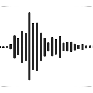 Vocaux