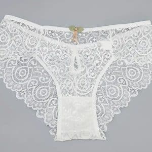 Culotte classique en dentelle blanche transpparent