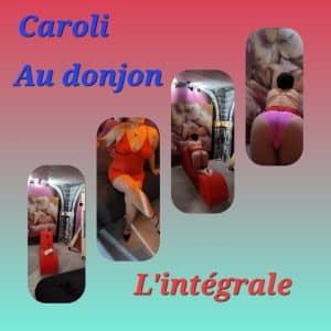 Au donjon l'intégralité