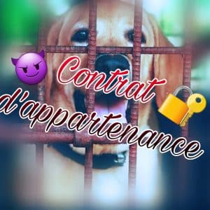 Contrat d'appartenance !