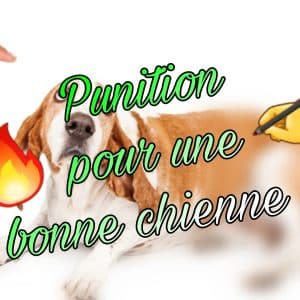 Punition/affichage !