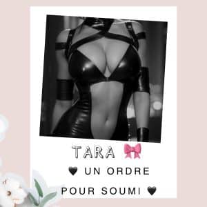 🖤 UN ORDRE POUR SOUMI 🖤