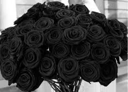 Offre moi un bouquet