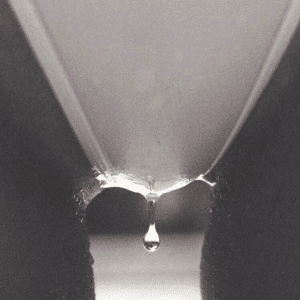 Culotte champagne !