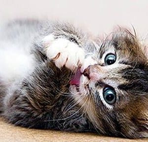 5 photos de ma minette dans tout ses états 💦🩸👅