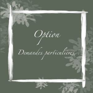 🔥 Option demandes particulières