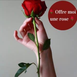 Offre moi une rose 🌹