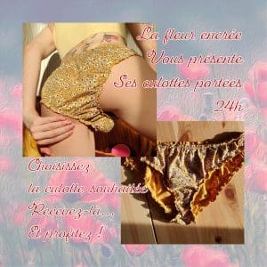 Choisi ta culotte portée 24h ♥