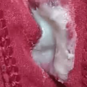 période d'ovulation, culotte crémeuse portée et odorante