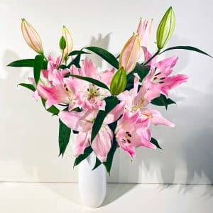 Ma fleur préférée! 🥰