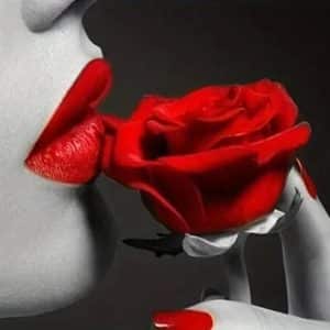 UNE ROSE POUR LE PLAISIR