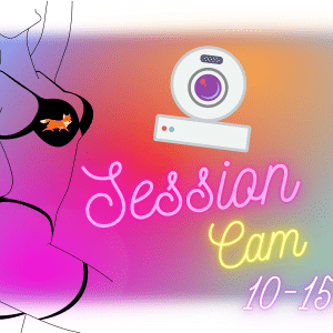 Session Cam de (10-15 minutes)