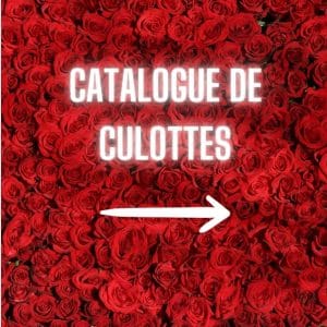 Catalogue de culottes