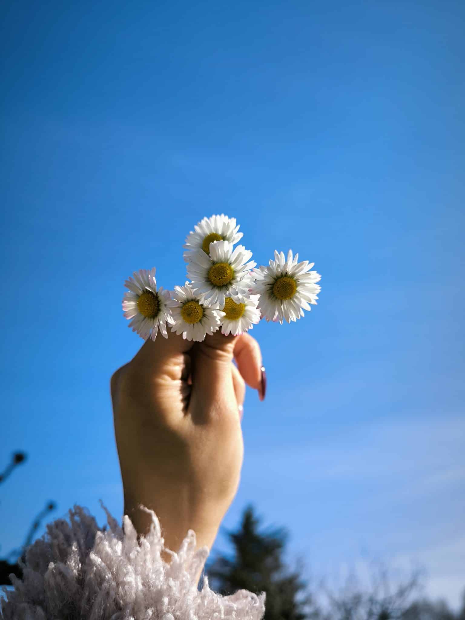 Spring Spring