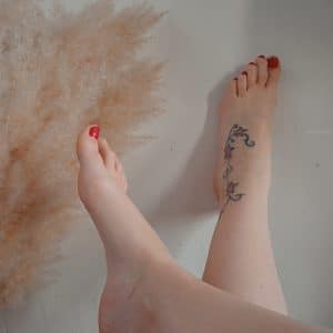 Pied