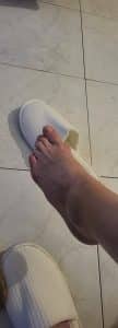 Pied