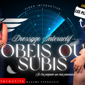 🎖️ Dressage Interactif : Obéis ou subis 22 choix. Une seule chance de me satisfaire.