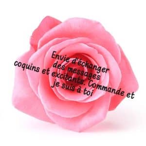 Envie d'échange de messages excitant