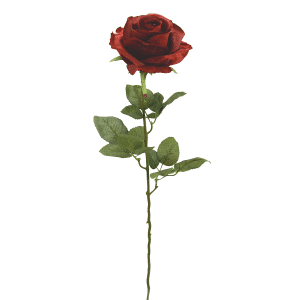 Une rose, une preuve, un sourire.