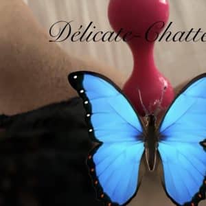 Caresses de Geisha … 🦋 [Video]