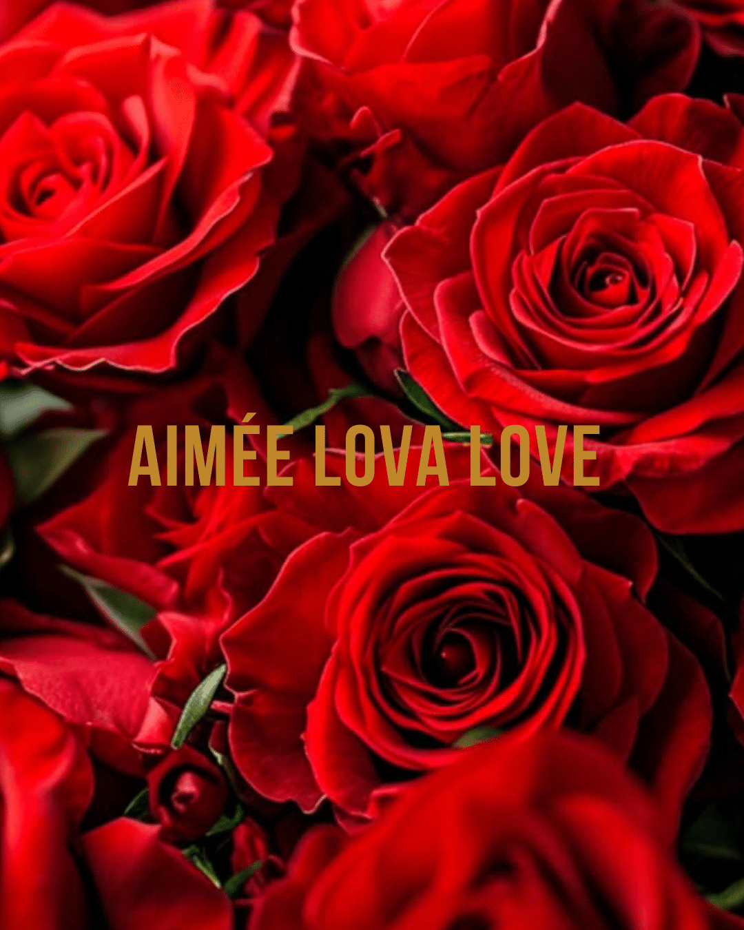 AimeeLovaLove AimeeLovaLove