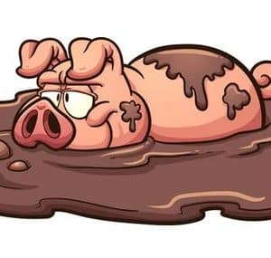 t'es qu'un porc, tu me dégoûtes. paie pour ce que tu es