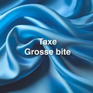 Taxe Grosse bite