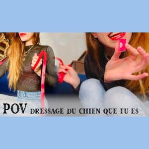 𝗣𝗢𝗩 : Je dresse le chien que tu es ! 😈🐶