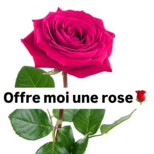 Offre moi une rose