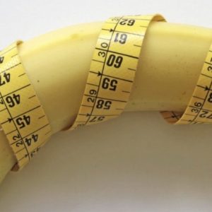 Notation Dick Rating 😈