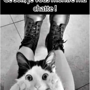 Photo de ma chatte for you