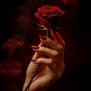 La rose de la tentation đč
