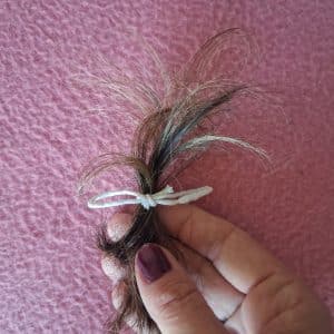 Cheveux