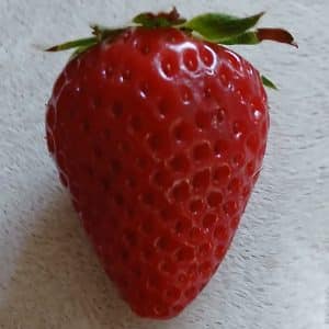 Offre la moi cette fraise