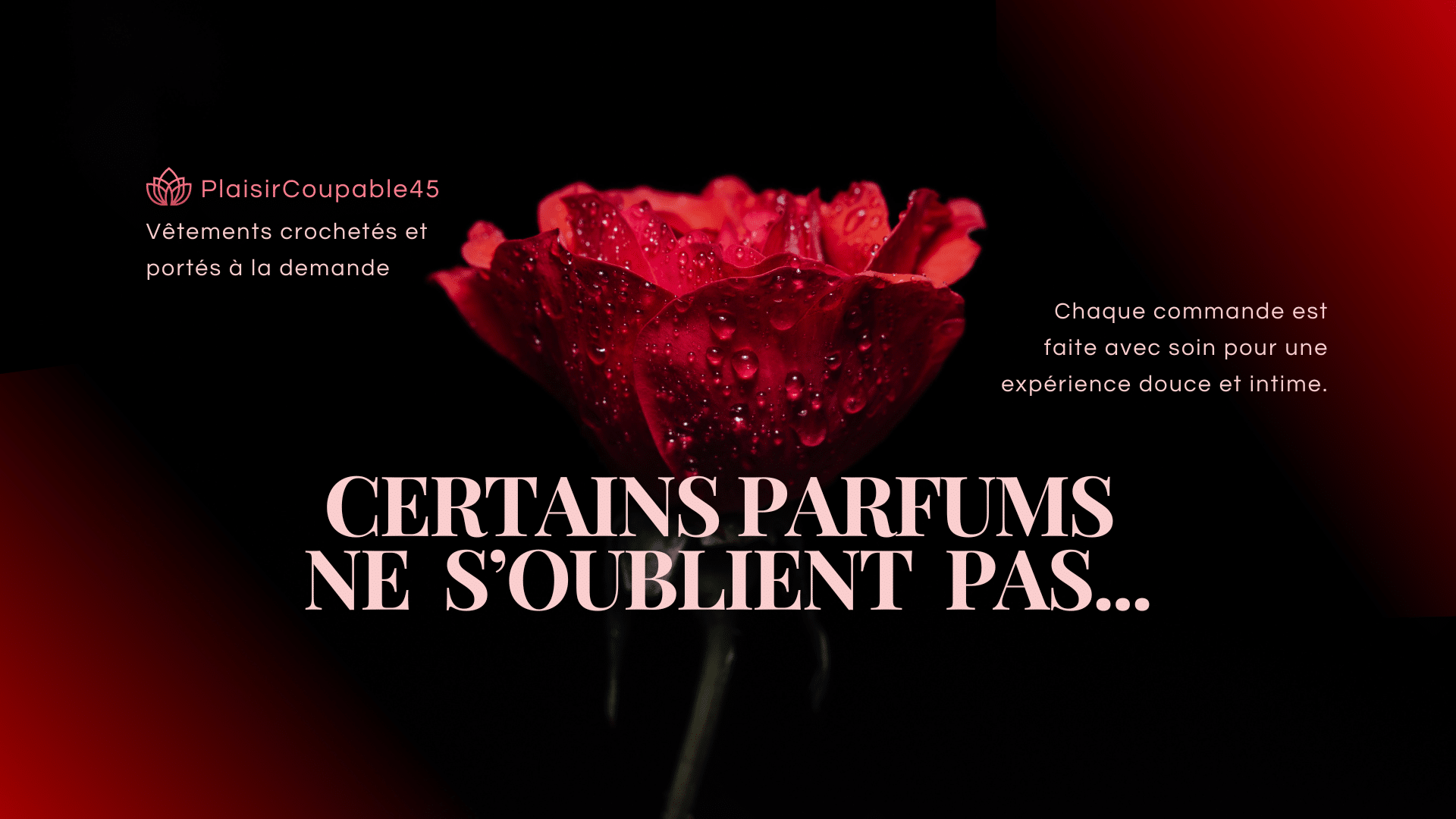 PlaisirCoupable45 PlaisirCoupable45