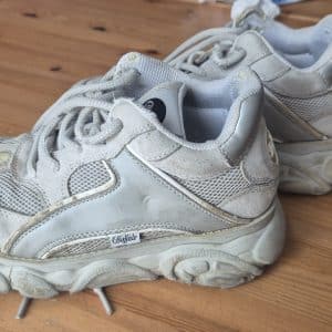Mes buffalos